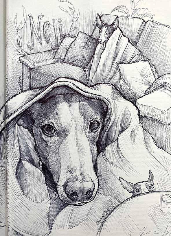 NEJI THE DOG